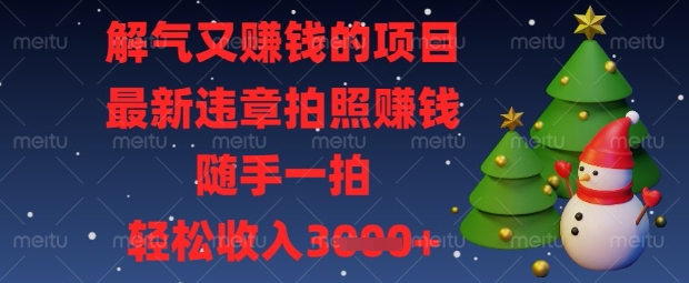 解气又挣钱的项目，最新违章拍照挣钱，随手一拍，轻松收入数张【揭秘】-轻创终点站
